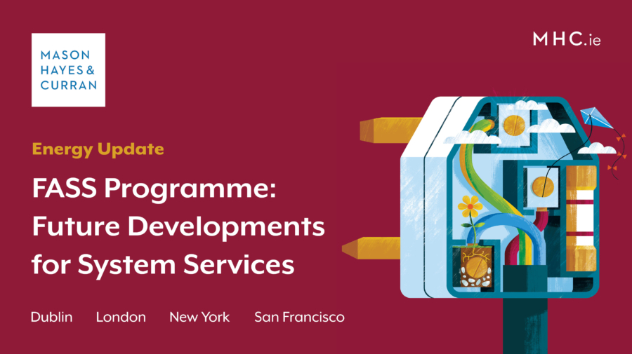 FASS Programme: Future Developments for System Services