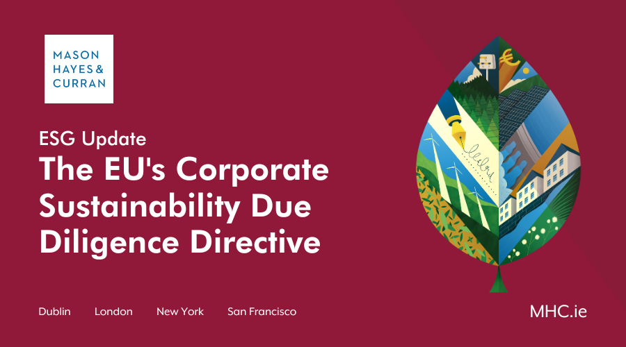 The EU's Corporate Sustainability Due Diligence Directive